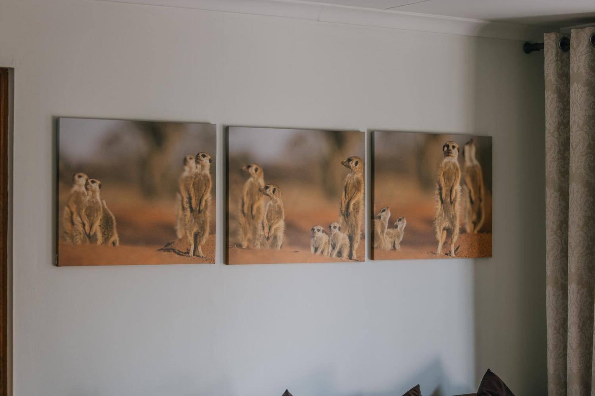 Beetleloop Guest House Mbombela Kültér fotó